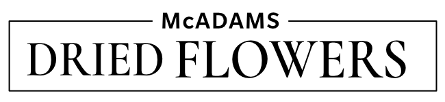 logo header